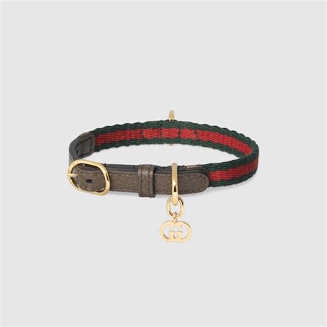 collier gucci|gucci collars for cats.